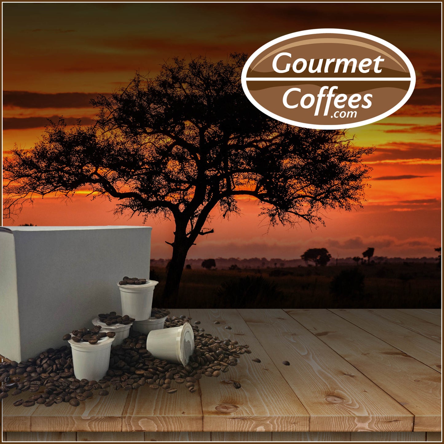 Africa Single Serve Coffee Pod Sampler Pack 24 Count