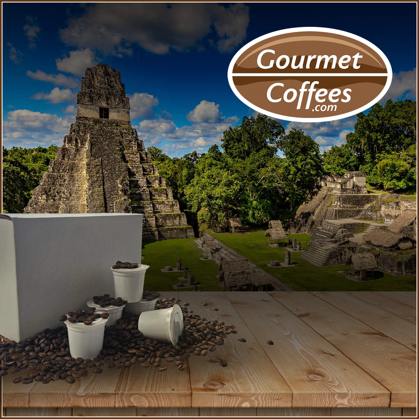 Guatemala Coffee Pods