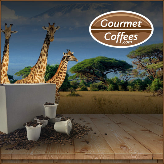 Kenya AA Coffee Pods