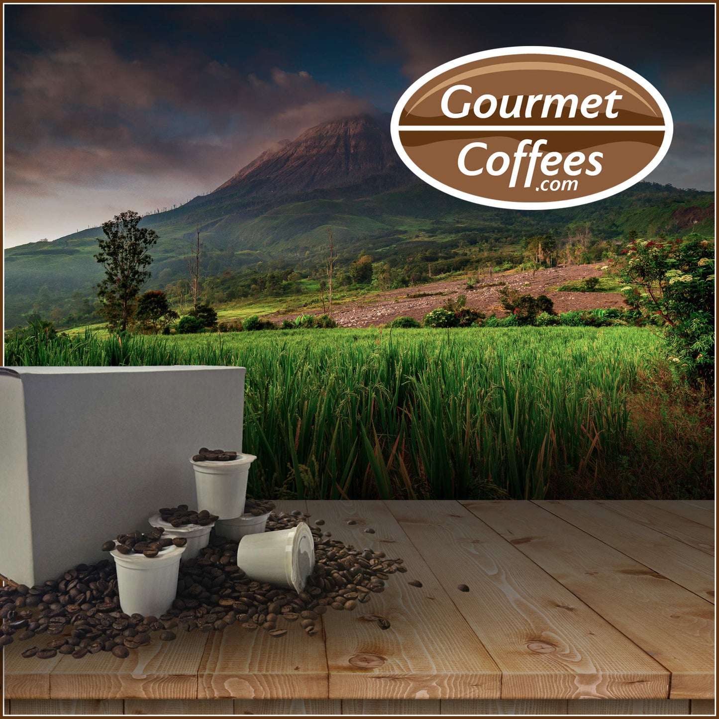 Sumatra Mandheling Coffee Pods