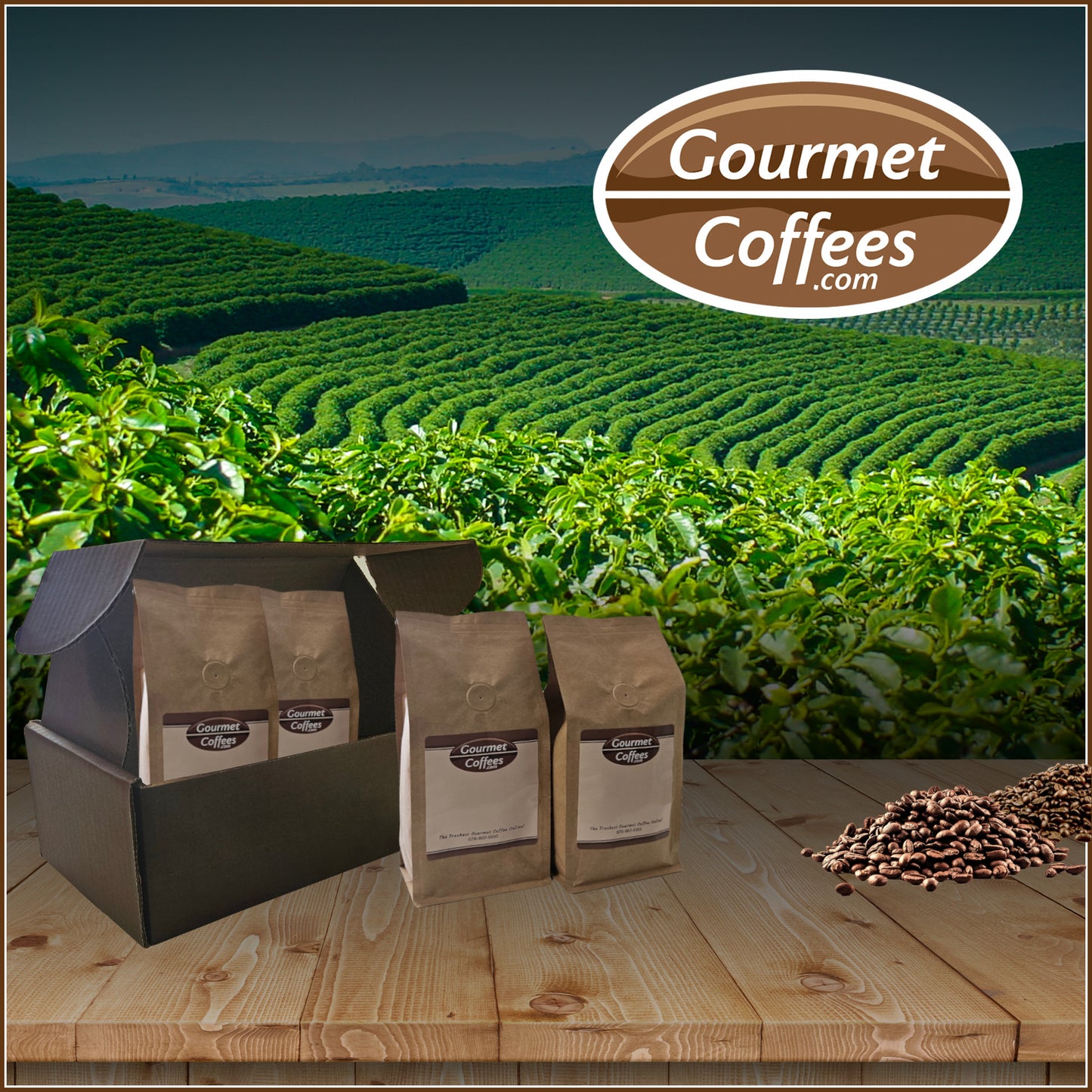 Organic Coffee Sampler