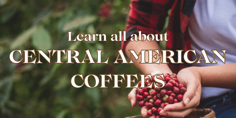 Discover Central American Coffees - An Experience in Every Sip