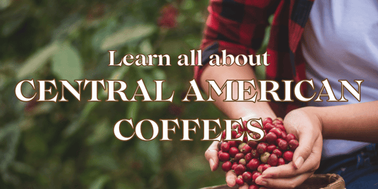 Discover Central American Coffees - An Experience in Every Sip