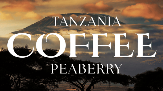 Mount Kilimanjaro with text that reads Tanzania Peaberry coffee